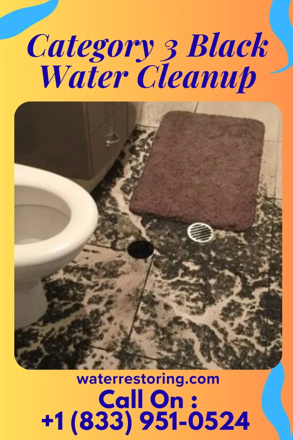 Category 3 Black Water Cleanup in Columbus Junction, IA