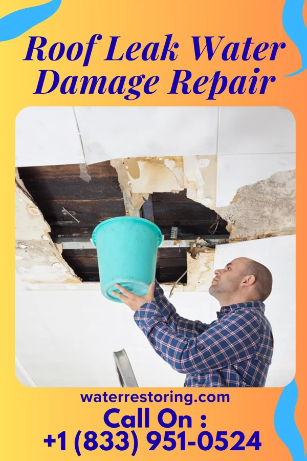 Roof Leak Water Damage Repair in Columbus Junction, IA