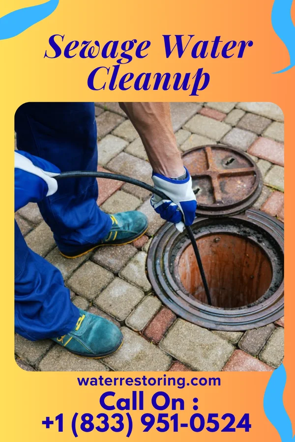 Sewage Water Cleanup in Columbus Junction, IA